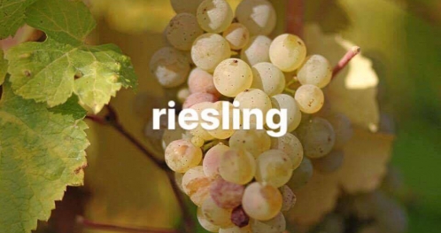 Mini Class - Riesling Warszawa