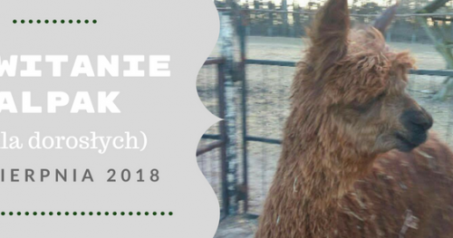 POWITANIE ALPAK (dla dorosłych)