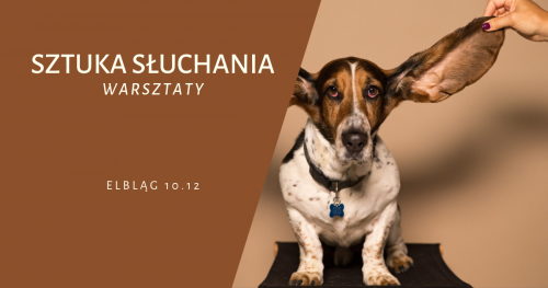 Szkolenie Sztuka Słuchania - Elbląg 10 Grudnia 2018