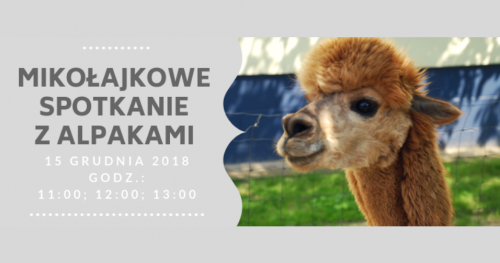 Mikołajkowe Spotkanie z Alpakami - 15 XII