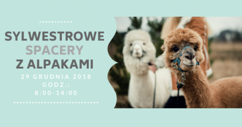SYLWESTROWE SPACERY Z ALPAKAMI - 29 XII