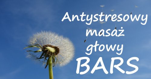 Antystresowy masaż głowy BARS