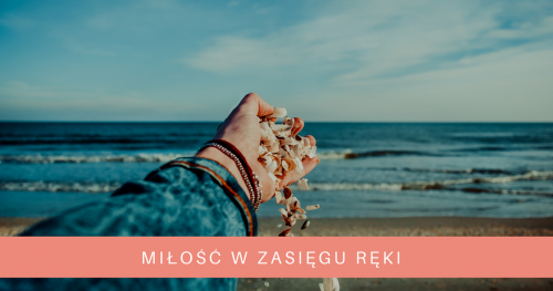 Projekt Singielka edycja VI - REZERWACJA