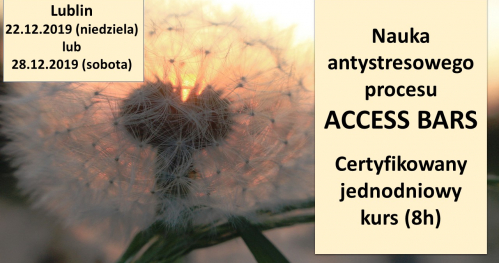 Nauka antystresowego procesu ACCESS BARS z masażem głowy - certyfikowany jednodniowy kurs- KLASA BARS
