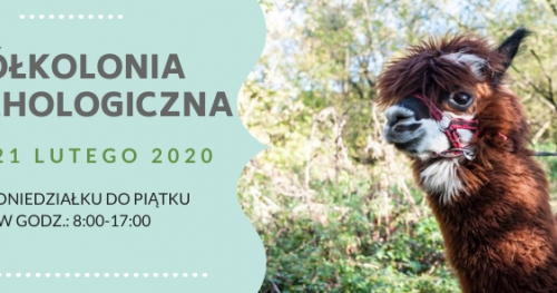Półkolonia Psychologiczna w Ośrodku Koparka