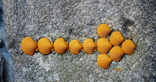 CAMINO DAY - drogi św. Jakuba w pigułce