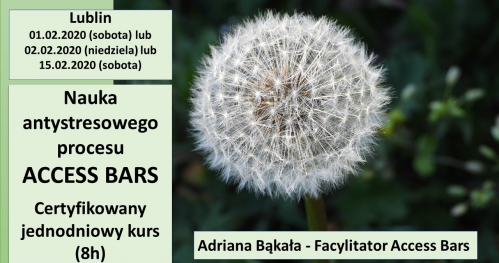 Certyfikowany jednodniowy kurs  ACCESS BARS - KLASA BARS