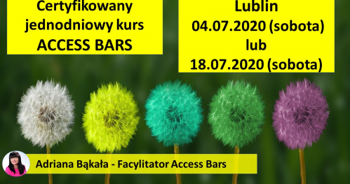 Certyfikowany jednodniowy kurs  ACCESS BARS - KLASA BARS