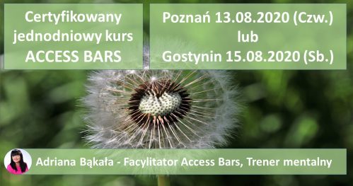 Certyfikowany jednodniowy kurs ACCESS BARS - KLASA BARS Poznań, Gostynin