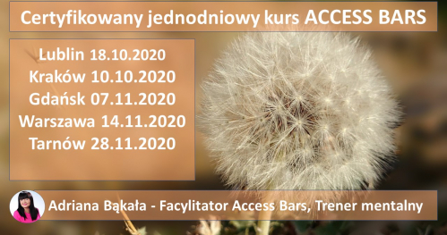Certyfikowany jednodniowy kurs  ACCESS BARS - KLASA BARS Lublin, Kraków, Warszawa, Gdańsk, Tarnów