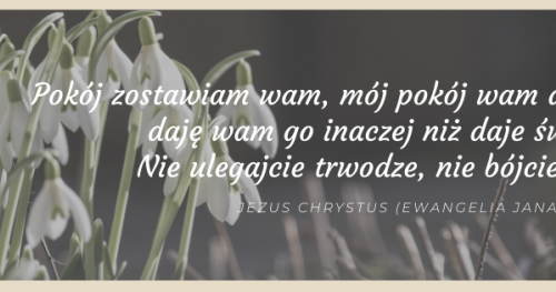 Nabożeństwo - niedziela - 8 listopada, 10:00