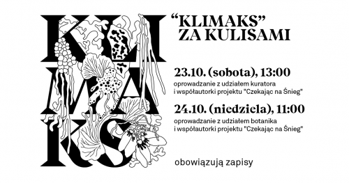 "Klimaks" za kulisami: Oprowadzanie kuratorsko-autorskie