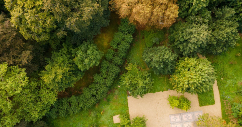 Miejsca Pszczół. Spacer śladami dzikich zapylaczy
