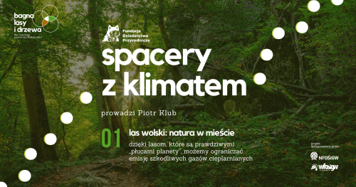 Las Wolski: natura w mieście