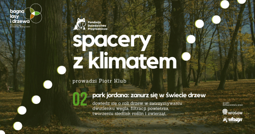 Park Jordana: zanurz się w świecie drzew