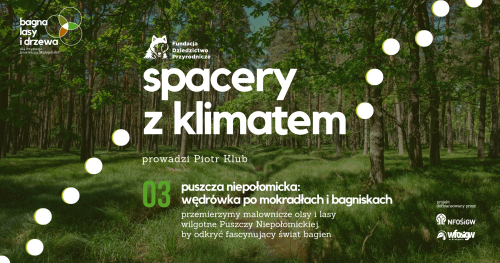 Puszcza Niepołomicka: Wędrówka po Mokradłach i Bagniskach
