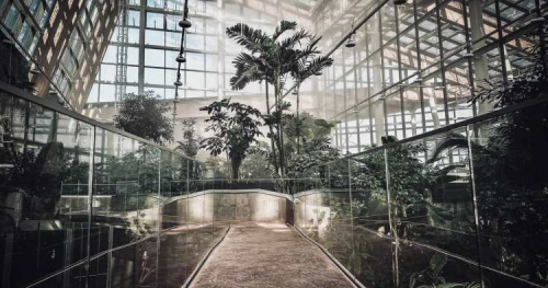 Zwiedzanie NOWEGO Egzotarium - Centrum Edukacji Ekologicznej - 09.12.2023 r.