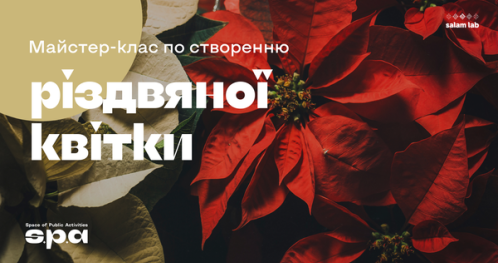 🇺🇦 12+ | Майстер-клас по створенню різдвяної квітки | Warsztaty z tworzenia Bożonarodzeniowego kwiatu | Workshop on creating a Christmas flower
