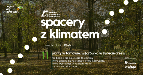 Planty w Tarnowie: Wędrówka w świecie drzew.