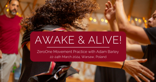 AWAKE & ALIVE - warsztat ZeroOne z Adamem Barleyem