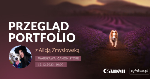 PRZEGLĄD PORTFOLIO z Alicją Zmysłowską