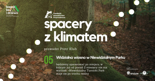 Widzialna wiosna w Niewidzialnym Parku