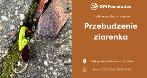 Przebudzenie ziarenka. Rodzinna gra leśna i ognisko