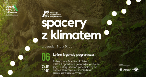 Leśne legendy pogranicza