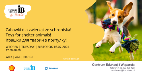Zabawki dla zwierząt ze schroniska! | Toys for shelter animals! | Іграшки для тварин з притулку!
