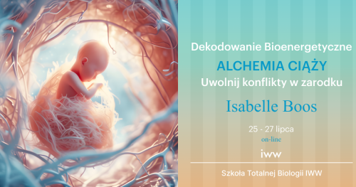 Dekodowanie  Bioenergetyczne - Alchemia ciąży - Isabelle Boos