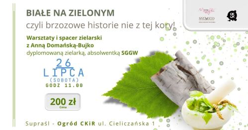 Białe na zielonym -  brzozowe historie nie z tej kory!