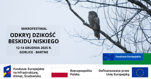 Nocne życie lasu / warsztaty / Odkryj dzikość Beskidu Niskiego