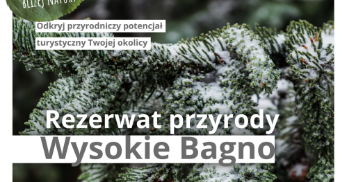 Turystyka bliżej natury / rezerwat przyrody Wysokie Bagno