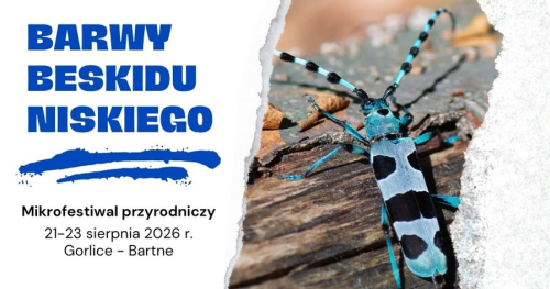 Kolory lata / warsztaty / Barwy Beskidu Niskiego