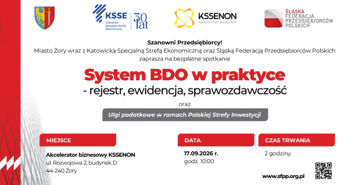 SYSTEM BDO W PRAKTYCE - rejestr, ewidencja, sprawozdawczość