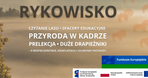 Przyroda w kadrze. U schyłku lata / Rykowisko 2026