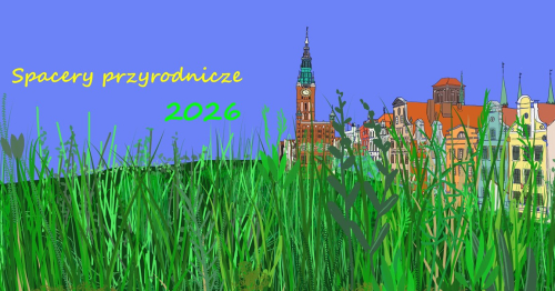 Gdy natura zadomowi się w mieście