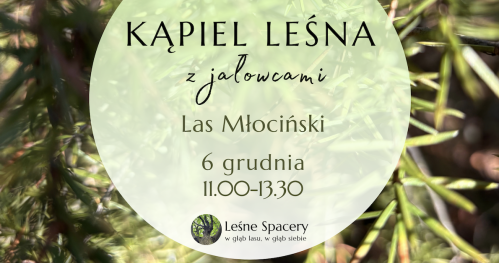 Leśna kąpiel z jałowcami. Leśne spacery. W głąb lasu, w głąb siebie.