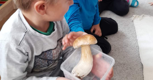 PRAKTYCZNY KURS MONTESSORI