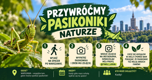 Przywróćmy pasikoniki naturze!