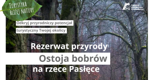 Turystyka bliżej natury / Rezerwat Ostoja Bobrów na Rzece Pasłęce II
