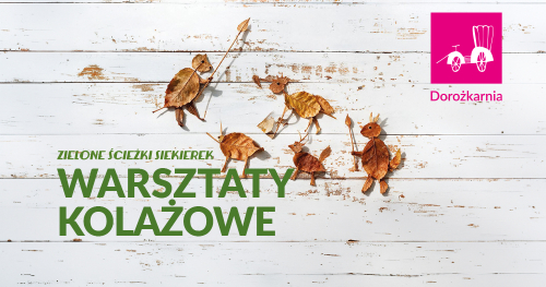 Zielone Ścieżki Siekierek - warsztaty kolażowe