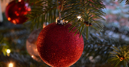 Spotkanie członkiń PSKB 09.12.2026